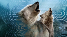 Secret World of Sound 1. Sezon 3. Bölüm